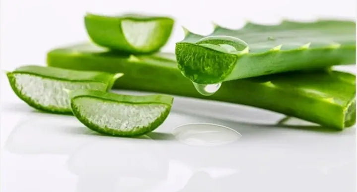 Viva Las Vegas - Shea Butter + Aloe Vera